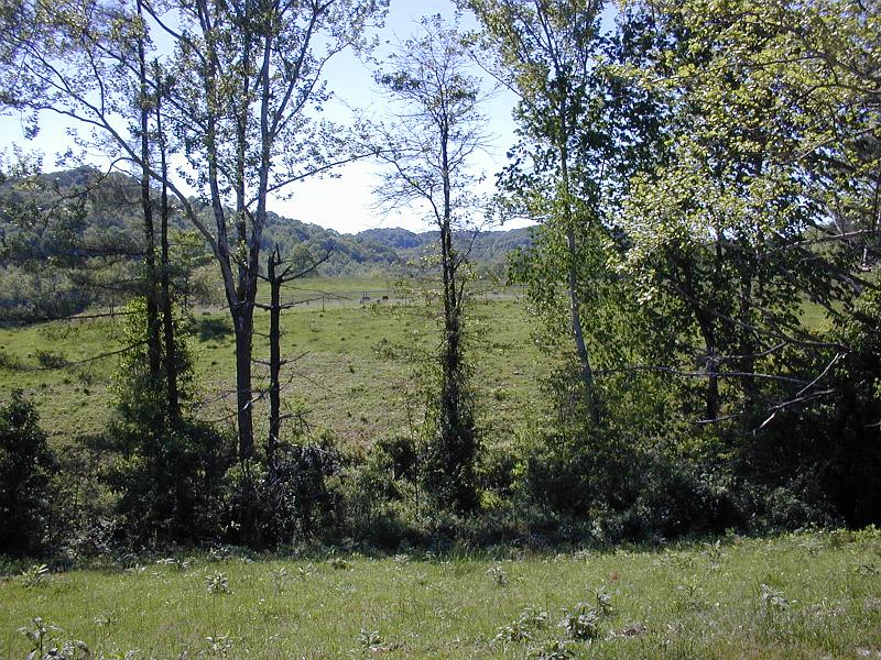 Keeton Cemetery 3.jpg